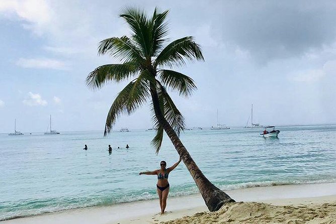 Saona Island Full Day From Punta Cana - The pace, language, and organization