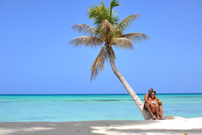Saona Island Full Day Tour Lunch and Transportation Included - The 8:00 am start from Punta Cana