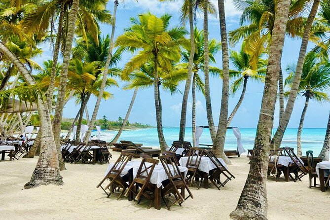 Saona Island Full Day Tour with Buffet Lunch, Paella, & Open Bar - Key points to know before booking