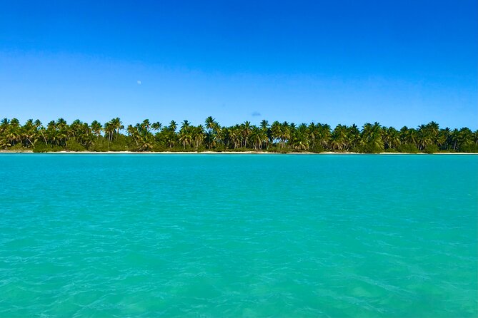 Saona Island Full Day Tour with Buffet Lunch, Paella, & Open Bar - Palmilla Natural Pool gives you a short swim stop