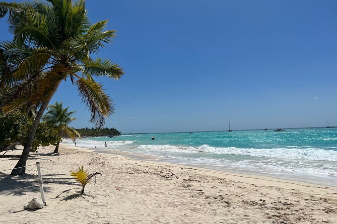 Saona Island Full Day Tour with Buffet Lunch, Paella, & Open Bar - Three hours on Saona Island