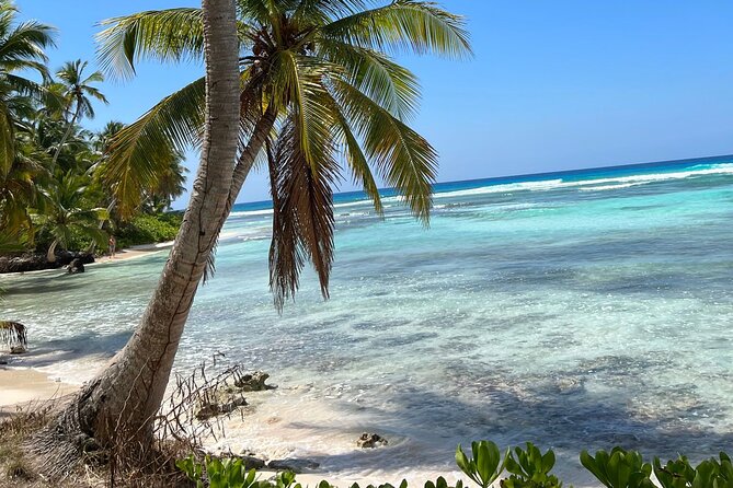 Saona Island Full Day Tour with Buffet Lunch, Paella, & Open Bar - Lunch, drinks, and the value of convenience