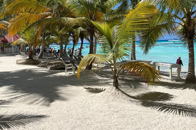 Saona Island Full Day Tour with Buffet Lunch, Paella, & Open Bar - The return journey requires the same patience
