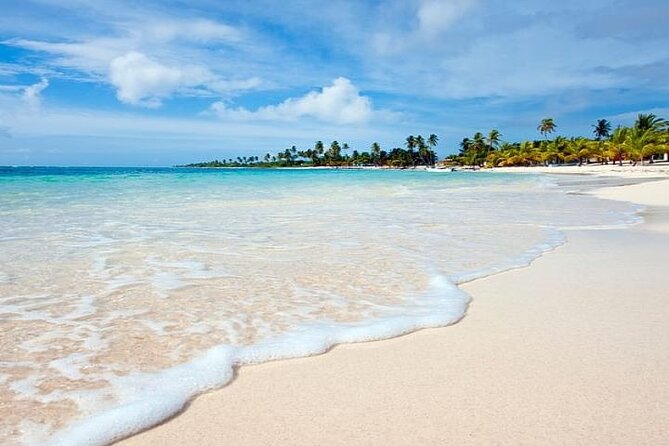 Saona Island Full-Day Tour with Lunch from Punta Cana - The natural pool stop