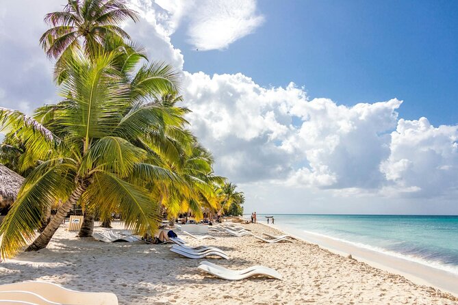 Saona Island Full-Day Tour with Lunch from Punta Cana - Lunch beside the palms