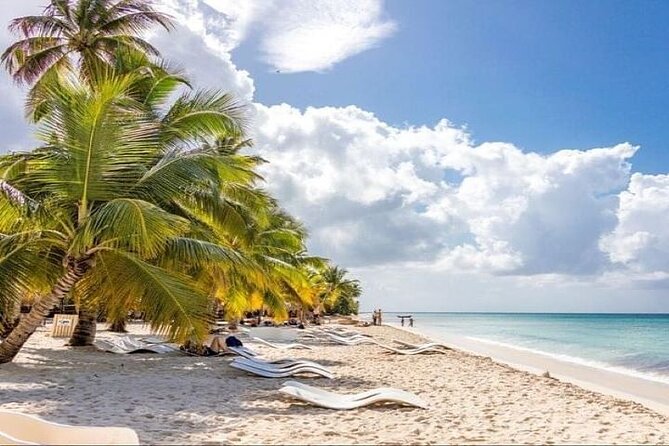 Saona Island Full-Day Tour with Lunch from Punta Cana - Catamaran out, fast boat back