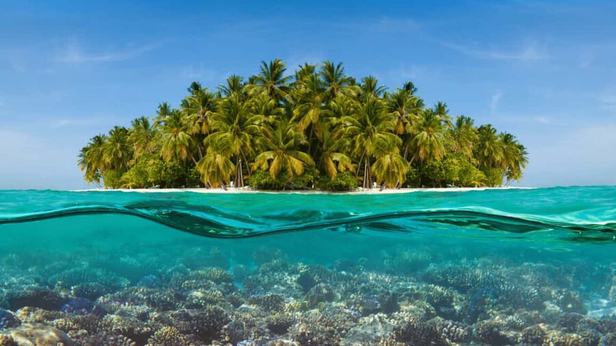 Saona Island: Hidden Beach & Natural Pool - The secluded beach on Saona Island