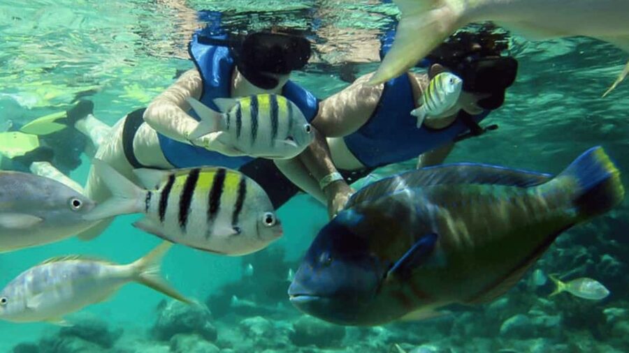 Saona Island: Hidden Beach & Natural Pool - What to pack for a better day
