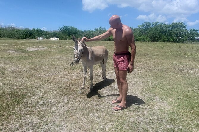 Saona Island Premium Discovery Tour from Punta Cana or Bayahíbe - Two hours in Mano Juan
