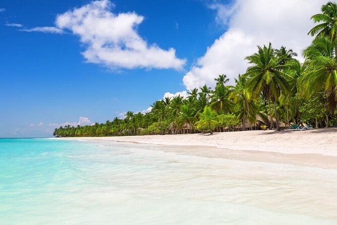 Saona Island Private Boat Tour with Lunch and Beverages - Leaving Punta Cana at 6:30 am