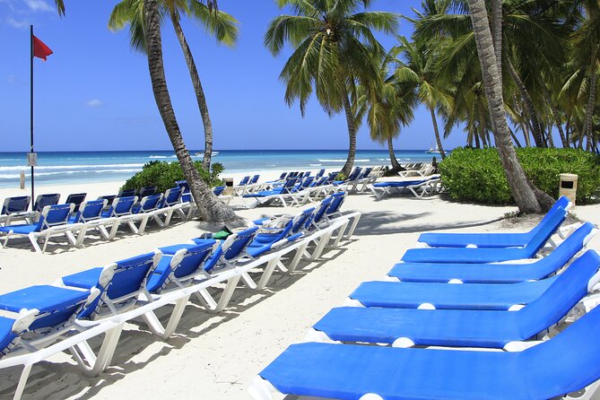 Saona Island Private Boat Tour with Lunch and Beverages - The crew and level of personal attention