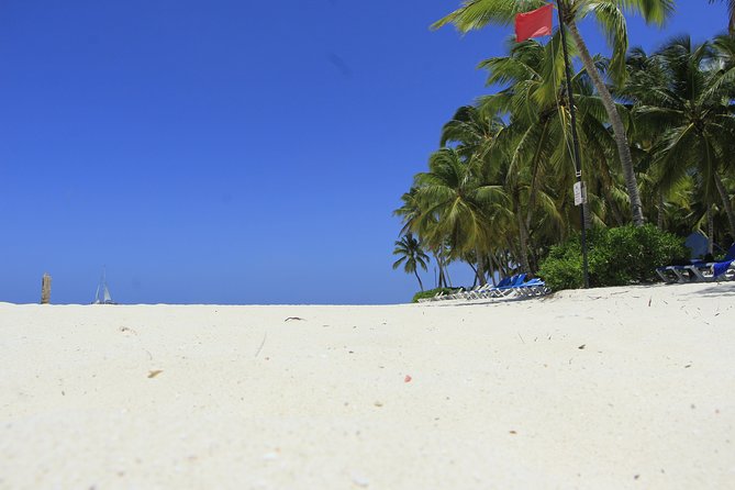 Saona Island Private Boat Tour with Lunch and Beverages - Who should book this Saona trip