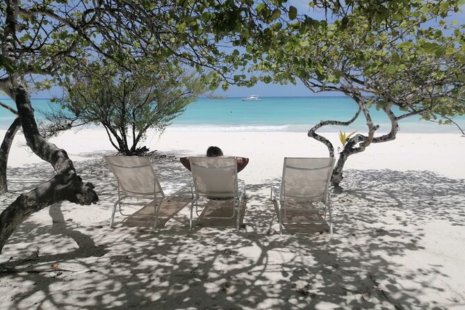 Saona island - Private Tour with a Luxury Speed Boat - Las Palmillas and its shallow natural pools