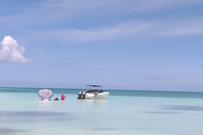 Saona island - Private Tour with a Luxury Speed Boat - What the price means for six people