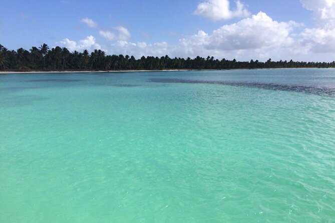 Saona island - Private Tour with a Luxury Speed Boat - Booking details worth checking first