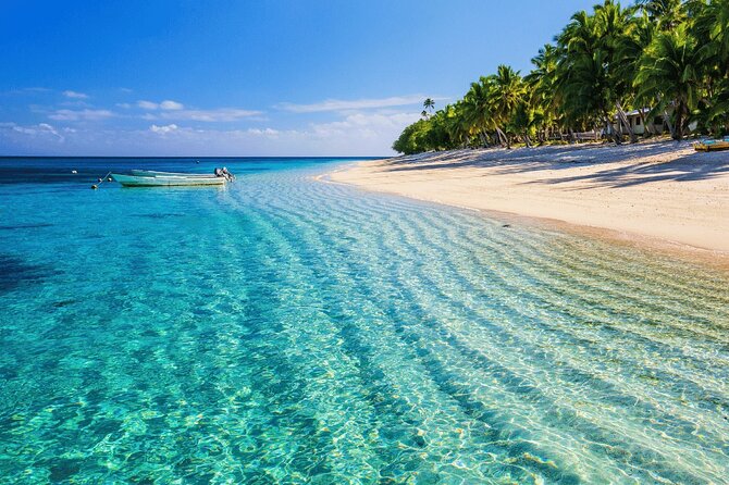 Saona Island : Punta Cana All Inclusive - Three hours on Saona Island