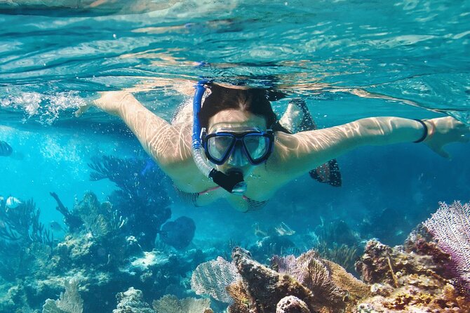 Saona Island : Punta Cana All Inclusive - The natural pool and its starfish