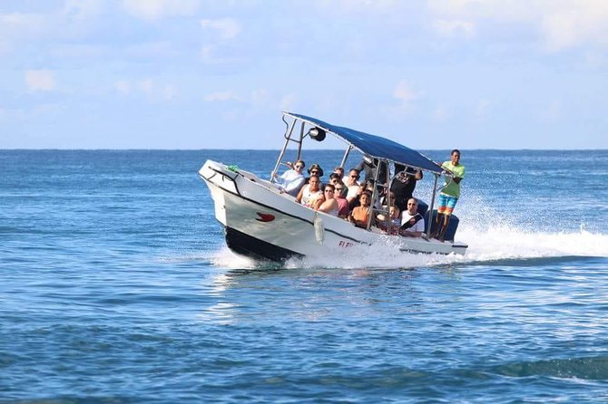 Saona Island Sailing Tour - All Inclusive - Why Saona Island makes a strong day trip