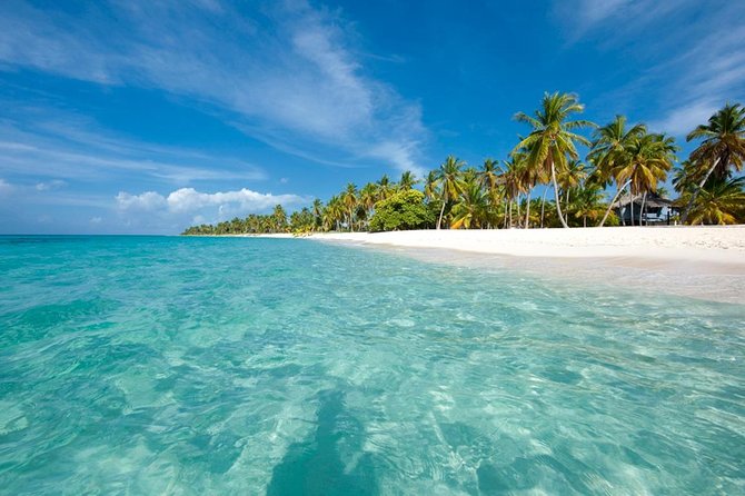 Saona Island Sailing Tour - All Inclusive - The natural-pool stop and starfish viewing