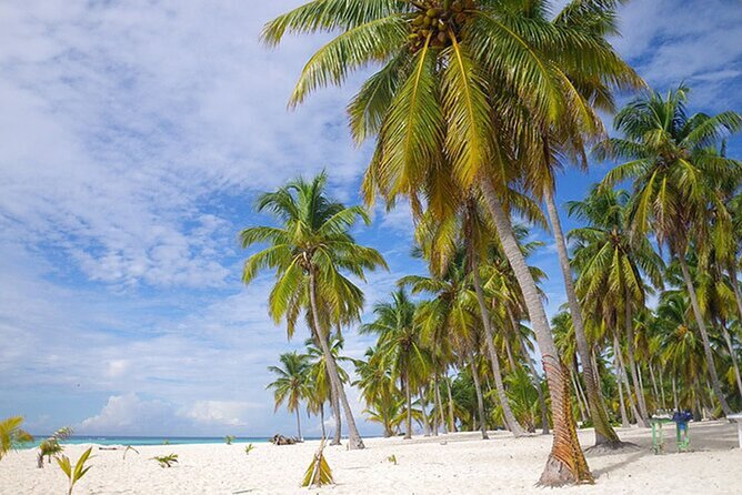 Saona Island Tour and Catamaran Party from Punta Cana - Practical ways to make the day easier