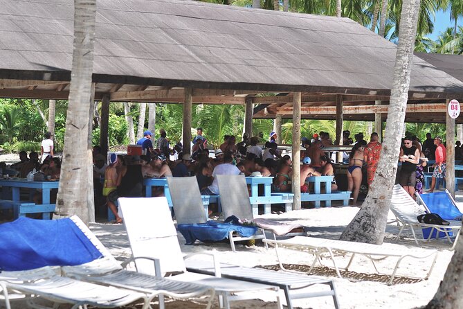 Saona Island Tour – Caribbean All Inclusive Escape - Underwater views and nature claims
