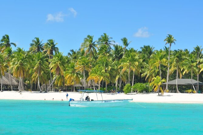 Saona Island Tour from Juan Dolio with pickup - Quick take on this Saona Island day