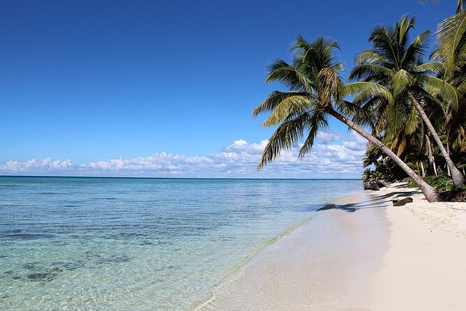 Saona Island Tour from Juan Dolio with pickup - Buffet lunch, drinks, and the party-boat mood