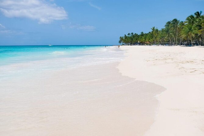 Saona Island Tour From Punta Cana - The snorkeling stop before Catalina Island