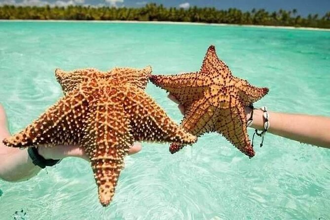 Saona Island Tour from Punta Cana All Inclusive - Reaching the natural pool by boat