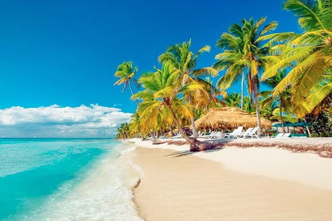 Saona Island Tour from Punta Cana with Lunch, Open Bar & Pickup - Bayahibe and the 35-minute boat ride