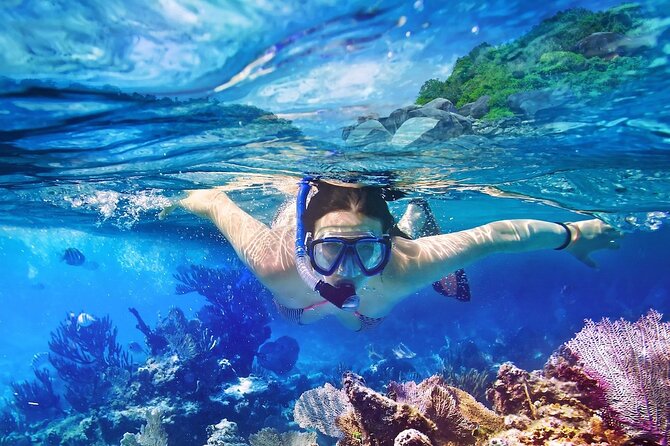 Saona Island Tour from Punta Cana with Lunch, Open Bar & Pickup - Is $68.55 a fair price?