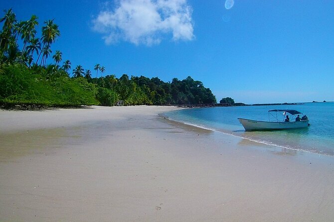Saona Island Tour from Punta Cana with Lunch, Open Bar & Pickup - Who will enjoy this Saona Island day?