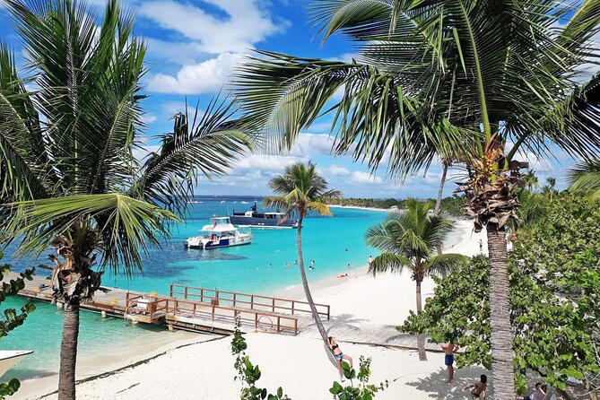 Saona Island Tour from Punta Cana with Lunch, Open Bar & Pickup - Practical tips for a smoother day