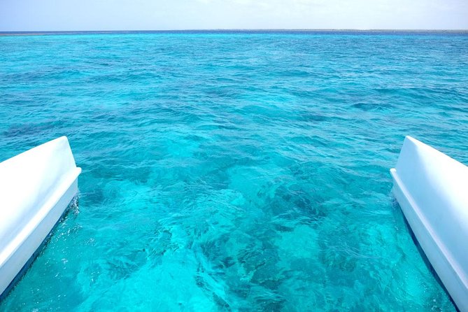 Saona Island Tour From Punta Cana - The 7 a.m. start and ride to La Romana