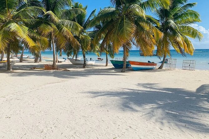 Saona Island Tour From Santo Domingo with Lunch, Open Bar, Pickup - Practical advice for a smoother day