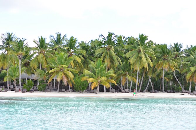 Saona Island Tour in Punta Cana - Group size, pace, and physical demands