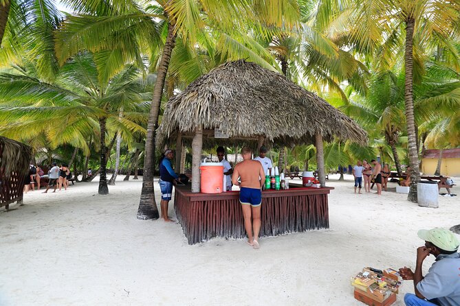 Saona Island Tour with Altos de Chavón from Punta Cana - Transport, timing, and guide communication