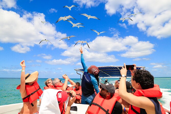 Saona Island Tour with Altos de Chavón from Punta Cana - Is $99 a good value?