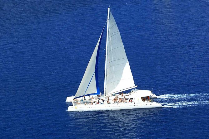 Saona Island Tour with Altos de Chavón from Punta Cana - Altos de Chavón between 9:00 and 9:45 a.m.