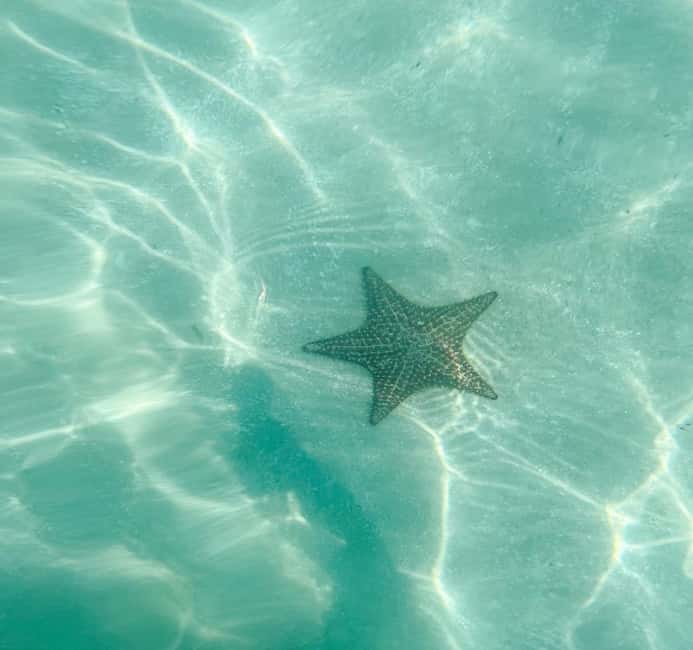 Saona Island VIP: 4 Beaches , Mano Juan & Canto de la Playa - The key things to know before booking
