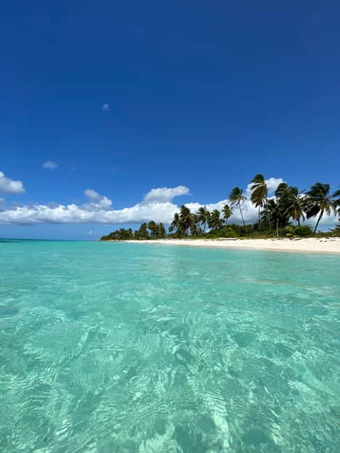 Saona Island VIP: 4 Beaches , Mano Juan & Canto de la Playa - From Punta Cana to the coast