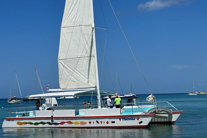 Saona Island VIP Experience – Private Boat for Up to 20 People - Saona Island by private boat: what you are really buying