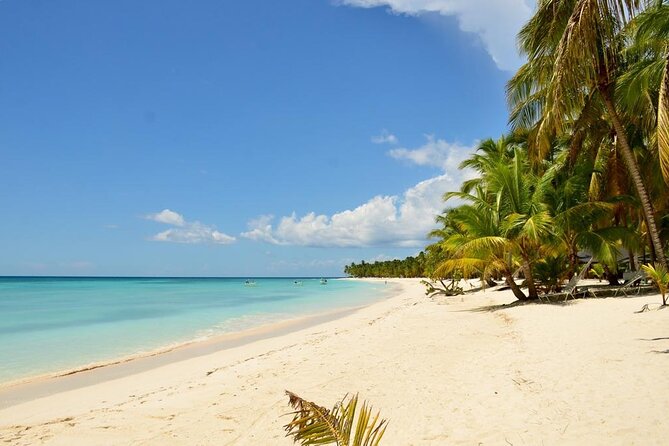 Saona Island VIP Experience – Private Boat for Up to 20 People - Is $2,400 a fair price?