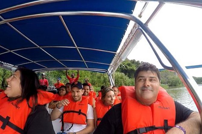 Saona Island VIP Full Day All Inclusive Excursion - Key points to know before booking