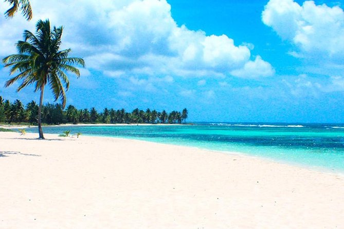 Saona Island VIP Full Day All Inclusive Excursion - Leaving Punta Cana for Bayahibe