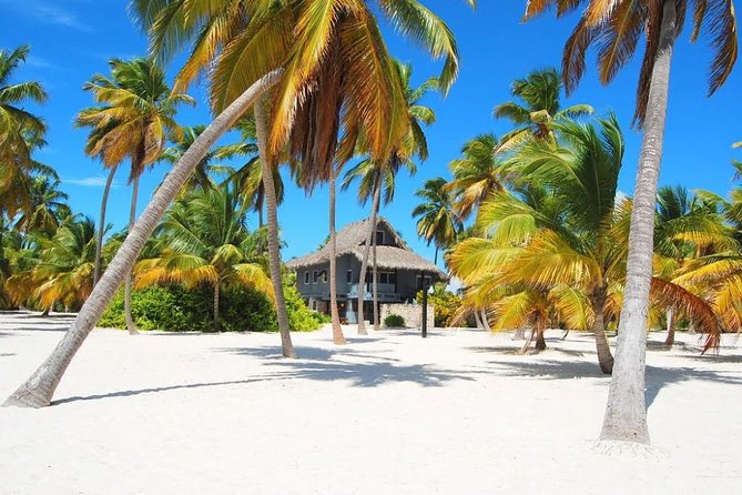 Saona Island VIP Full Day All Inclusive Excursion - Mano Juan, Saona’s fishing village