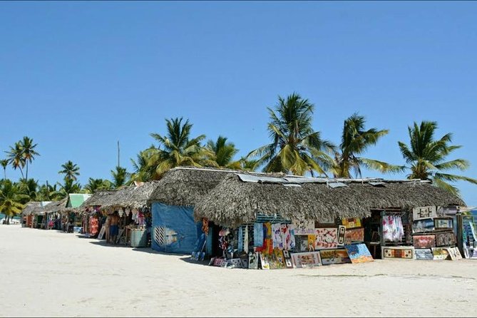 Saona Island VIP Full Day All Inclusive Excursion - Swimming, snorkeling, and the island’s best moments