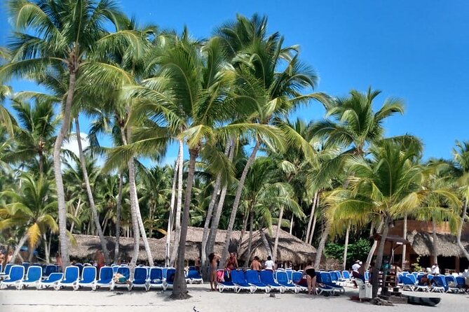 Saona Island: White Sands & Turquoise Waters” - Music, photos, massages, and other extras