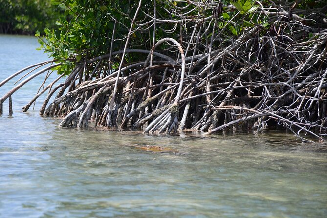 Saona, Mano Juan, Canto de la playa away from the tourist crowds - Why this Saona day trip feels different
