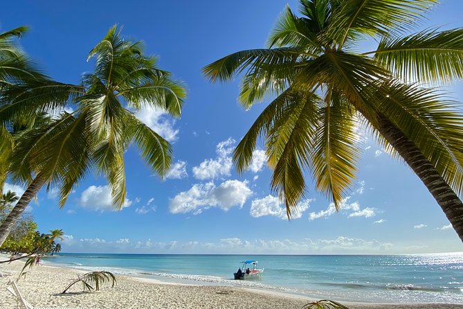 Saona Private Full-Day Tour from Punta Cana - What to do with a long beach stop